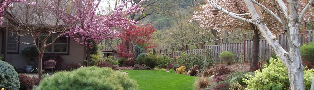 Photograph of Naturescape Designs landscape designer Show Garden